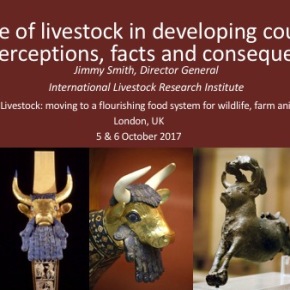 Livestock in developing countries—Misperceptions, facts and consequences