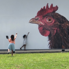 Art underlines the precious value of poultry genetic research