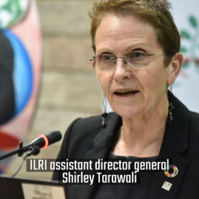 Celebrating the ‘WILD’ (‘Women In Livestock Development’) at ILRI on International Women’s Day—Video