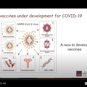 The good and not-so-good news about the state of COVID-19 vaccine development: A primer from ILRI