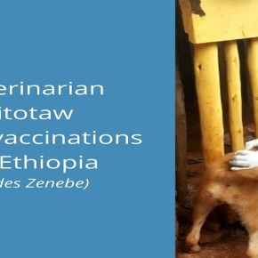 Woman veterinarian pioneers public-private partnership to improve veterinary service delivery in Ethiopia