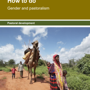 A new ‘How-to-Do Note’ provides guidance on designing and implementing ‘gender and pastoralism’ projects
