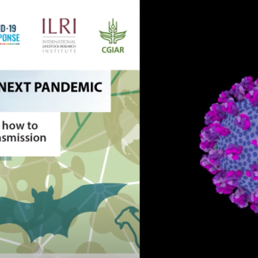 Joint UN-CGIAR assessment explains how animal-to-human pandemics like COVID-19 occur and how to prevent them in future