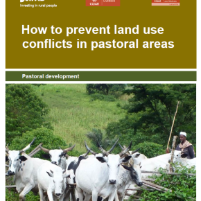A new ‘How-To-Do’ note provides guidance on addressing land-use conflicts in pastoral areas